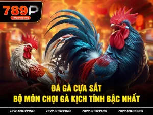 Đá Gà Cựa Sắt – Bộ Môn Chọi Gà Kịch Tính Bậc Nhất