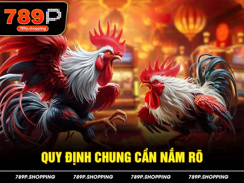 Quy định chung cần nắm rõ TẠI 789P