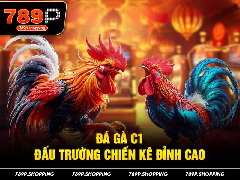 Đá gà C1 – Đấu trường chiến kê đỉnh cao
